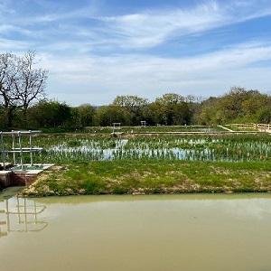 Clifton Integrated Wetlands